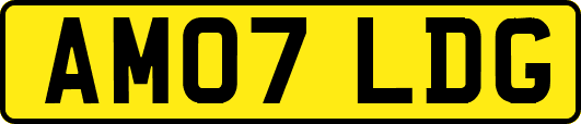 AM07LDG