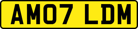 AM07LDM