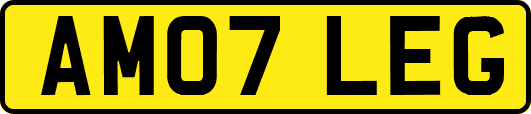 AM07LEG