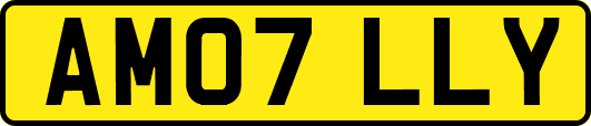 AM07LLY