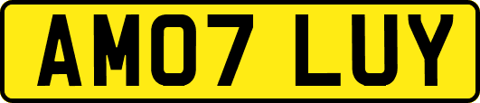 AM07LUY