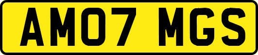 AM07MGS