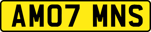 AM07MNS