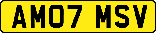 AM07MSV