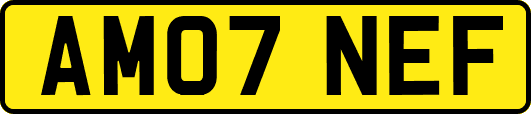 AM07NEF