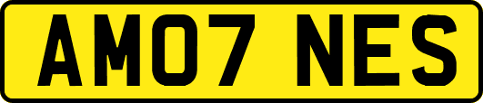 AM07NES