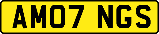 AM07NGS