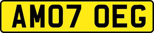 AM07OEG