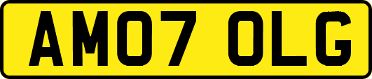AM07OLG