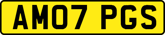 AM07PGS