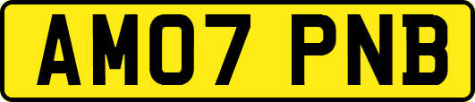 AM07PNB