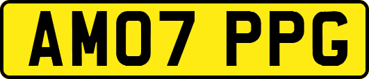 AM07PPG