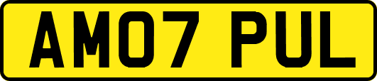 AM07PUL