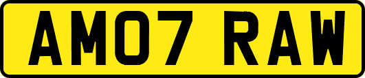 AM07RAW
