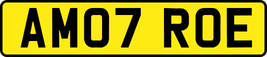 AM07ROE