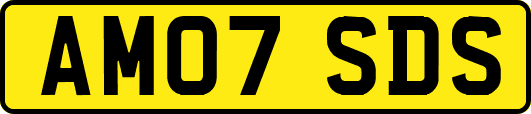 AM07SDS