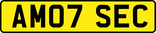 AM07SEC