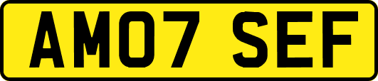 AM07SEF
