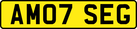 AM07SEG
