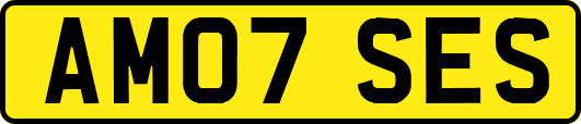 AM07SES