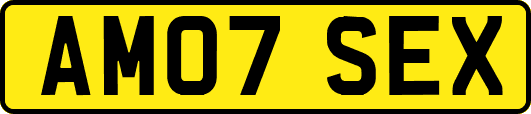AM07SEX