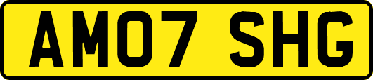 AM07SHG