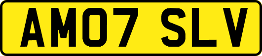 AM07SLV