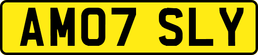 AM07SLY