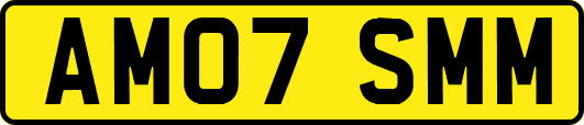 AM07SMM