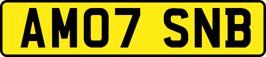 AM07SNB