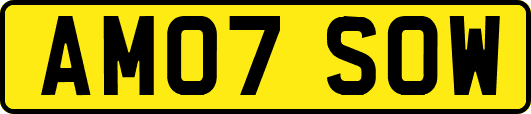 AM07SOW
