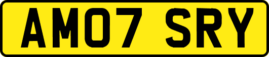 AM07SRY