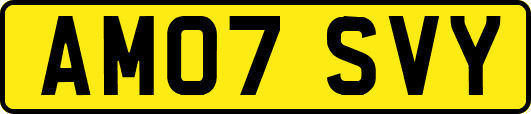 AM07SVY
