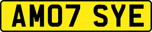 AM07SYE