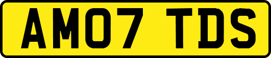 AM07TDS