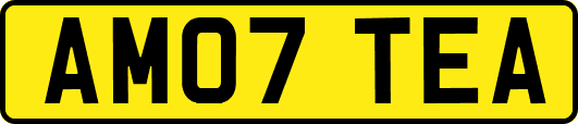 AM07TEA