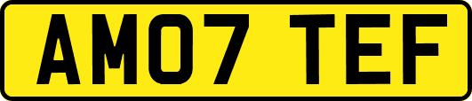 AM07TEF