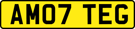 AM07TEG