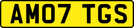 AM07TGS