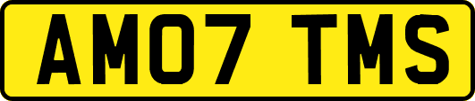 AM07TMS