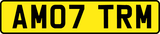 AM07TRM