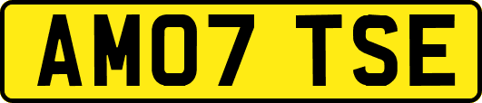 AM07TSE