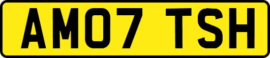 AM07TSH