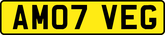 AM07VEG