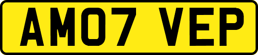 AM07VEP
