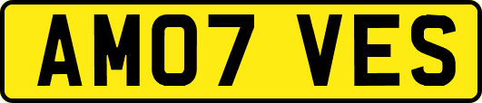 AM07VES