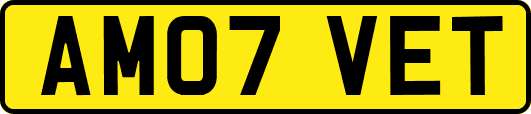 AM07VET
