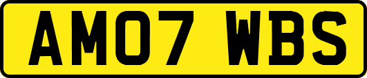AM07WBS