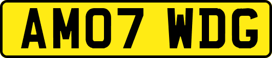 AM07WDG