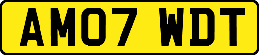 AM07WDT